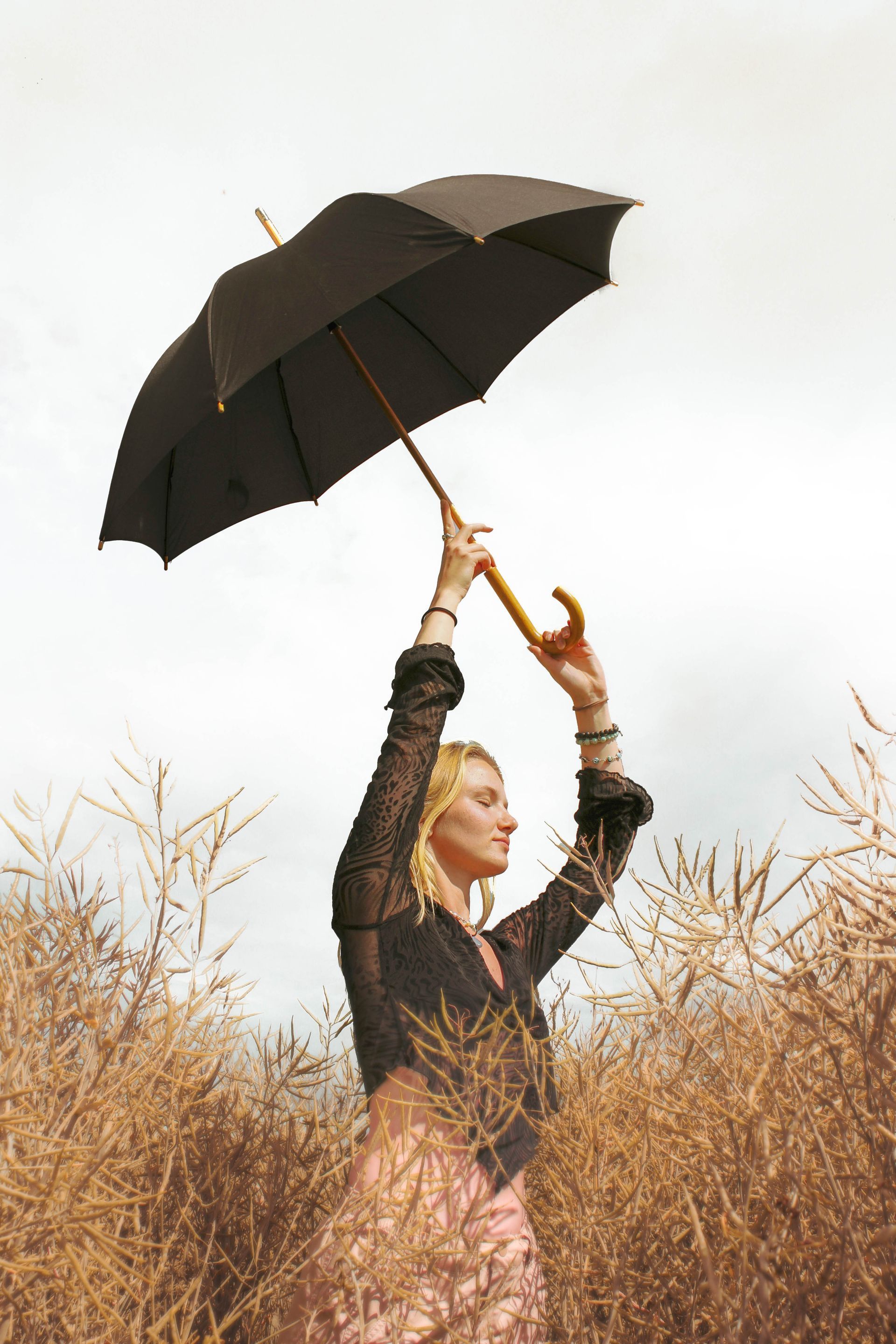 Golden Field